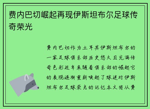 费内巴切崛起再现伊斯坦布尔足球传奇荣光