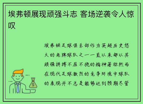 埃弗顿展现顽强斗志 客场逆袭令人惊叹